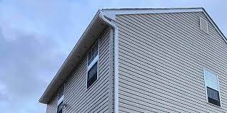 Best Fascia and Soffit Installation  in Dumas, TX